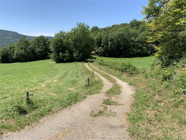 Chemin de campagne - Maxime Michel