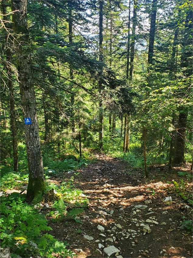Planachat et la ferme Guichard - Christophe Kaderabek - Haut Bugey Tourisme