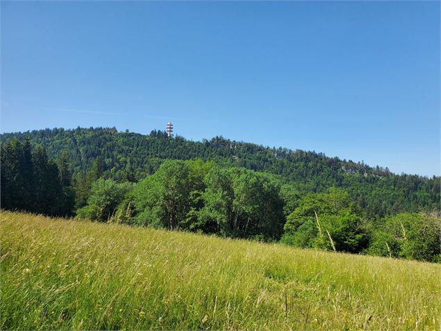 Planachat et la ferme Guichard - Christophe Kaderabek - Haut Bugey Tourisme
