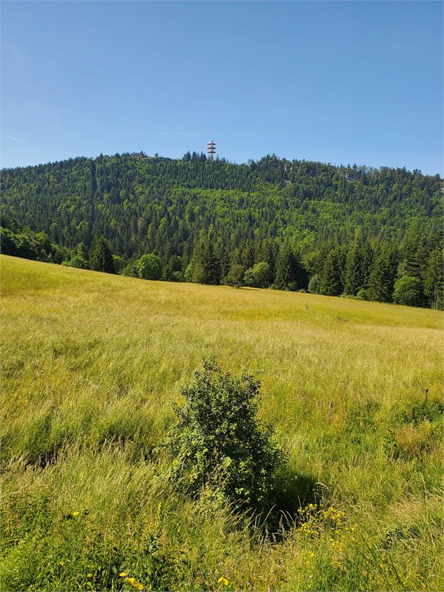 Planachat et la ferme Guichard - Christophe Kaderabek - Haut Bugey Tourisme