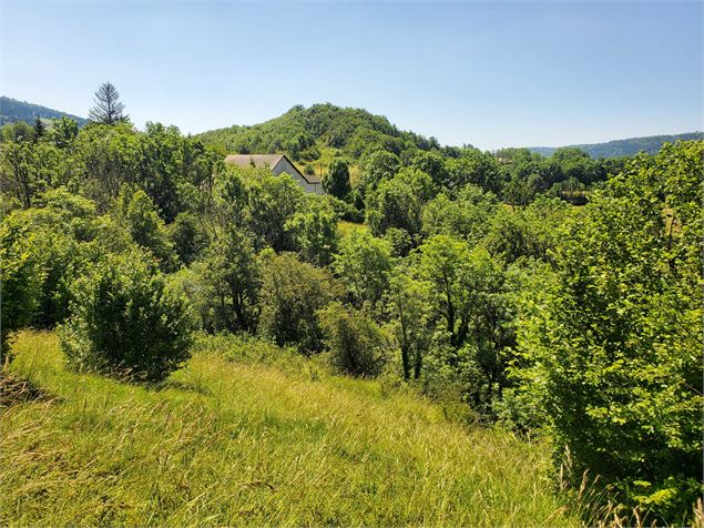 Planachat et la ferme Guichard - Christophe Kaderabek - Haut Bugey Tourisme