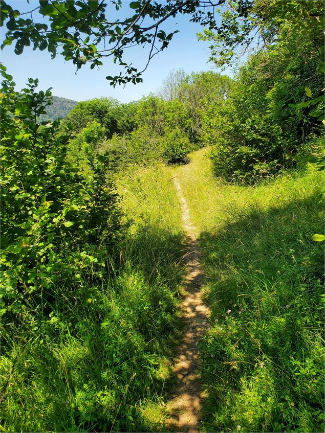 Planachat et la ferme Guichard - Christophe Kaderabek - Haut Bugey Tourisme