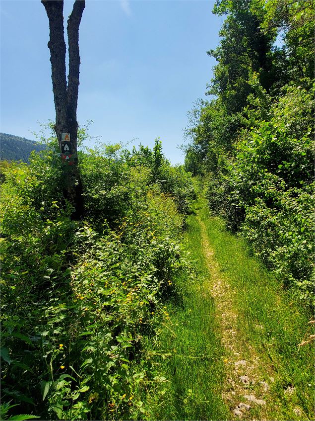Planachat et la ferme Guichard - Christophe Kaderabek - Haut Bugey Tourisme