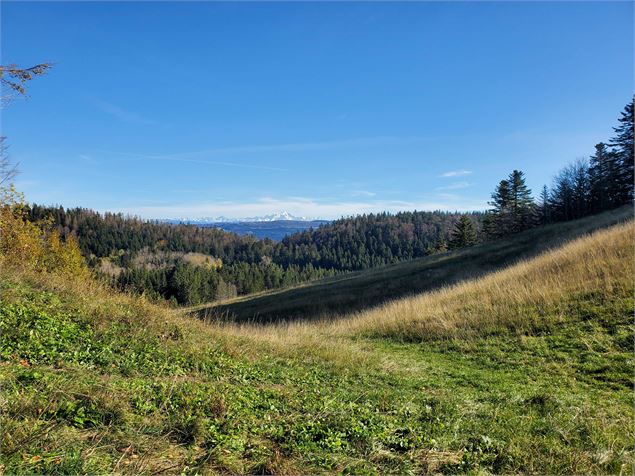 Monument de la raf borne des 3 cantons - C.Kaderabek