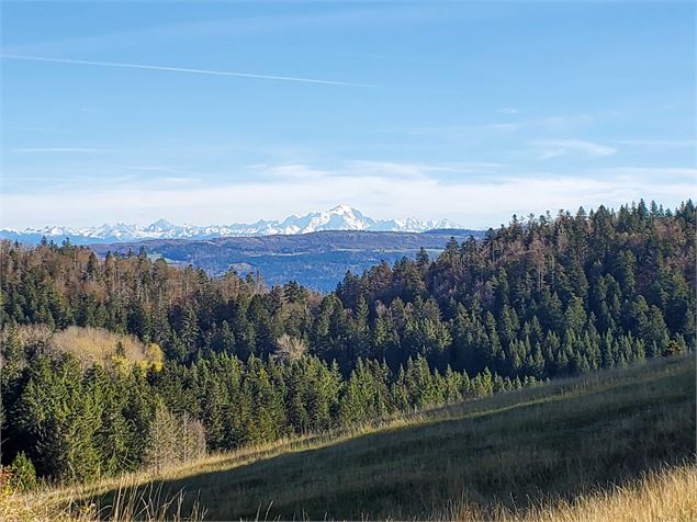 Monument de la raf borne des 3 cantons - C.Kaderabek