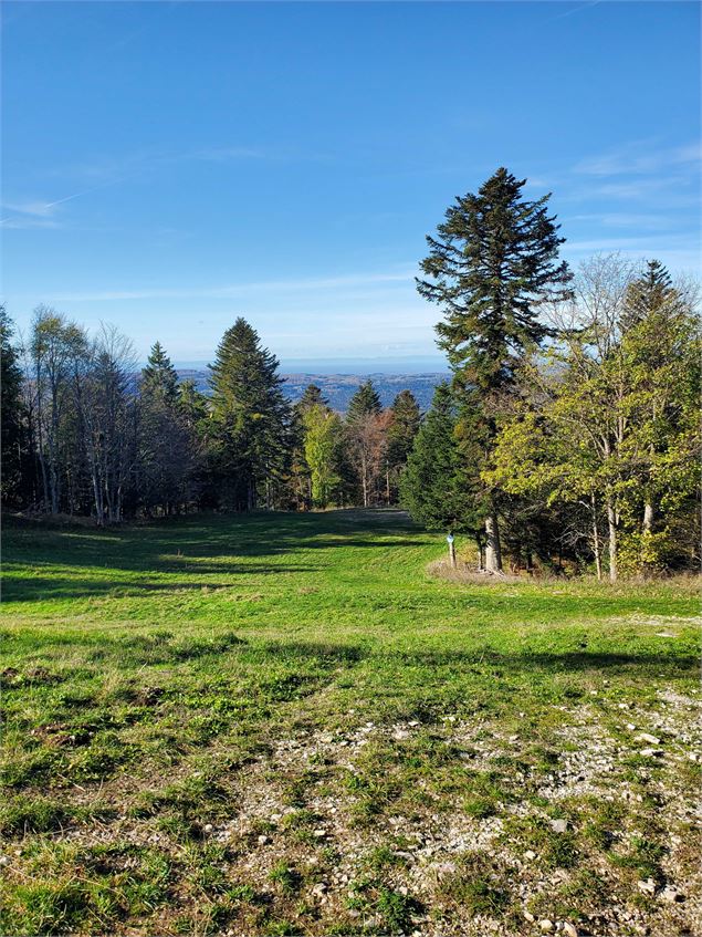 Monument de la raf et borne des 3 cantons - C.Kaderabek