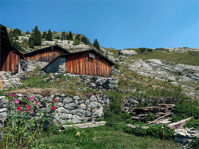 Hameau - Ot Samoëns - Mathilda Manzi