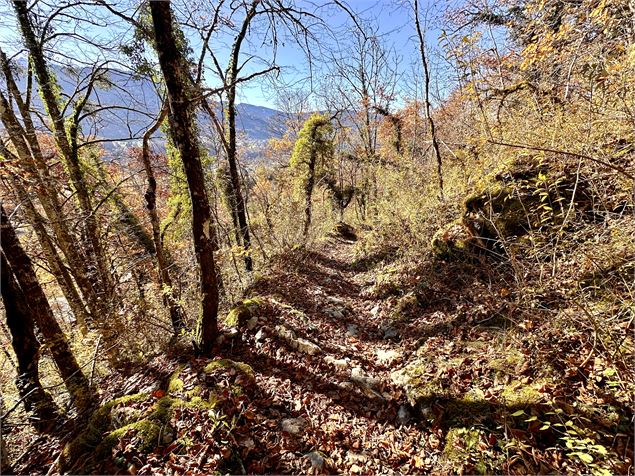 Itinéraire pédestre : Découverte du village de Samoëns par les Moulins et les Pleignes_Samoëns - Léo