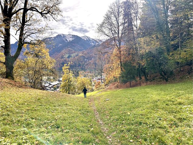 Itinéraire pédestre : Découverte du village de Samoëns par les Moulins et les Plaignes_Samoëns - Léo