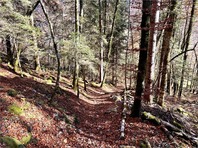 Itinéraire pédestre : Découverte du village de Samoëns par les Moulins et les Pleignes_Samoëns - Léo