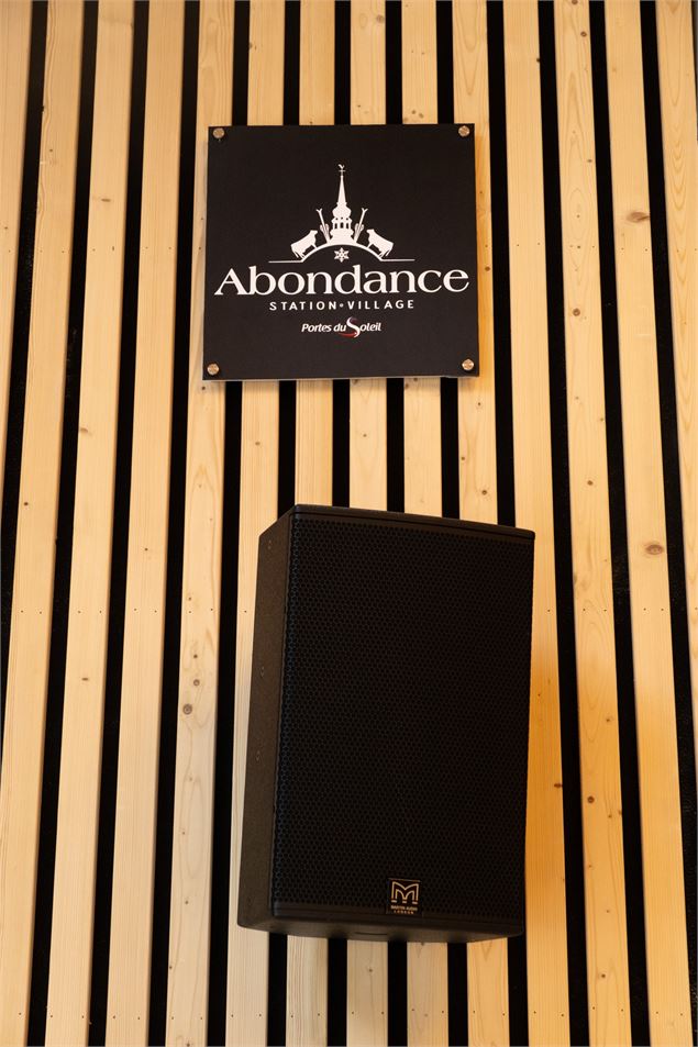 Salle des fêtes d'Abondance - Tristan Phalippou