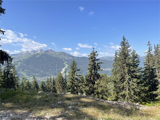 Sur le chemin en direction de Plansoie - Bozel - Nadia Chevassu