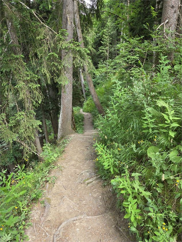 Sentier_de_randonnée - Mairie_de_Megève
