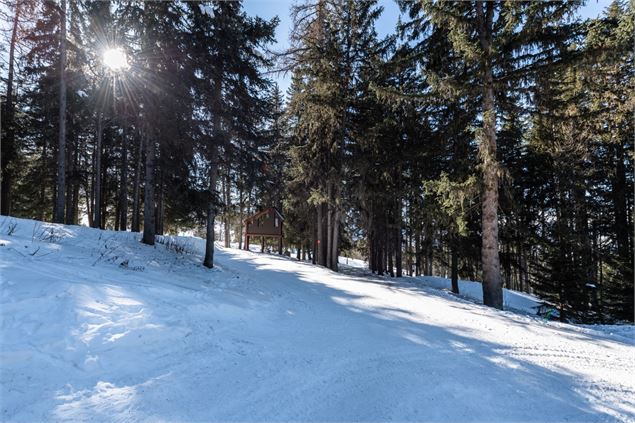 Image - Juliette Rebour