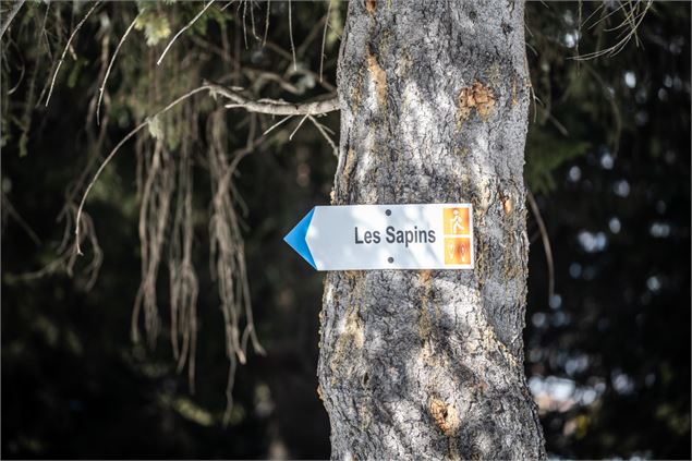 Image - Juliette Rebour