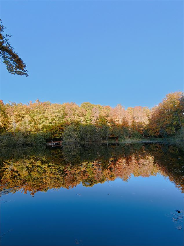 Vue sur le lac noir - OTPEVA