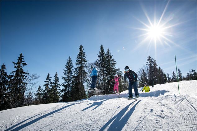 Saut - Peignée Verticale