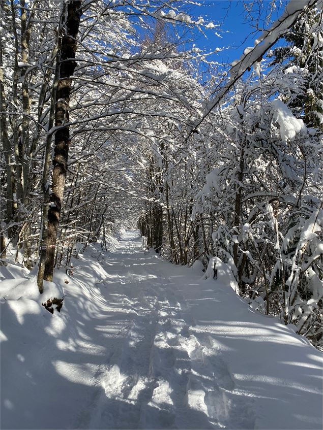 Les Places - Benjamin Panczuk