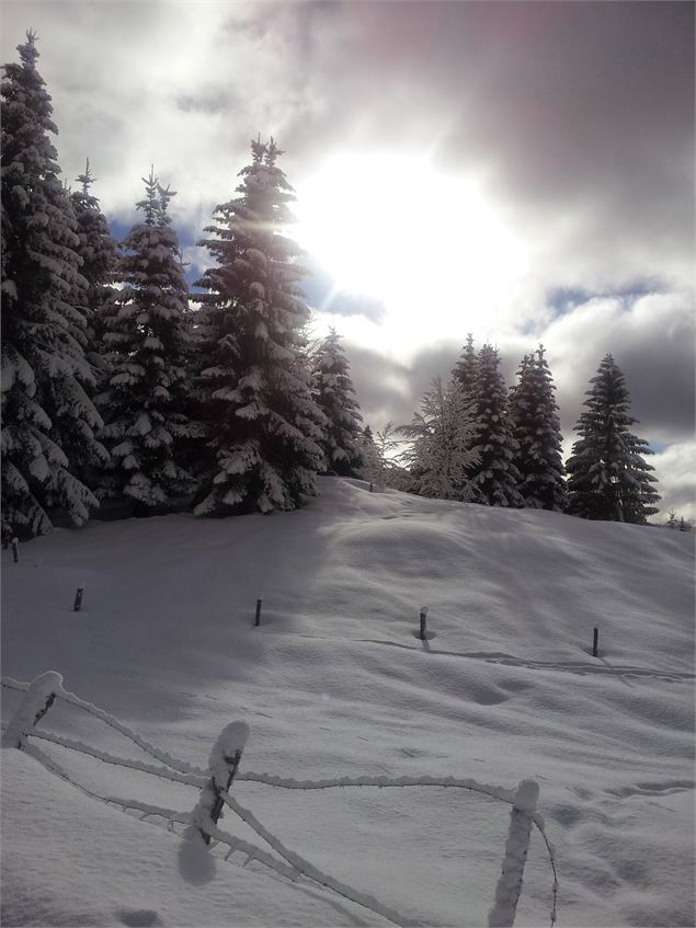 Randonnée en Bauges - Séverine Armenjon