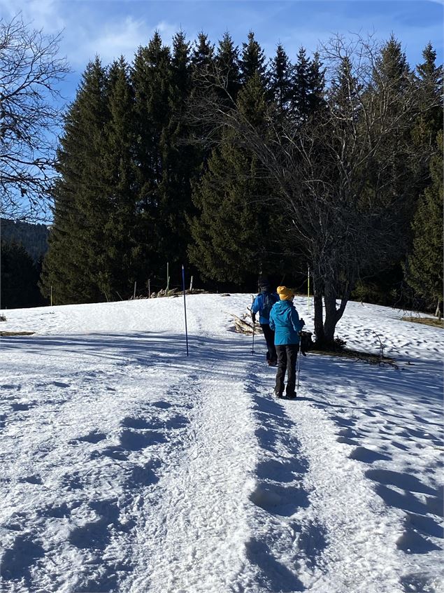 Itinéraire raquettes à neige : la petite traversée_Le Revard - Benjamin Panczuk