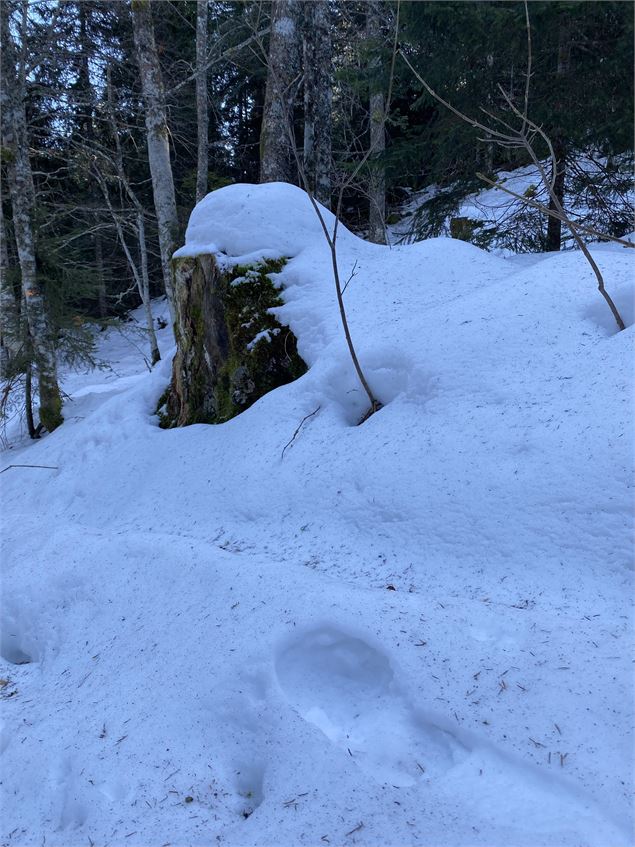 Itinéraire raquettes à neige : la petite traversée_Le Revard - Benjamin Panczuk