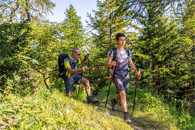 Randonneurs à la sortie de la forêt avant le sommet. - Thibaut Blais