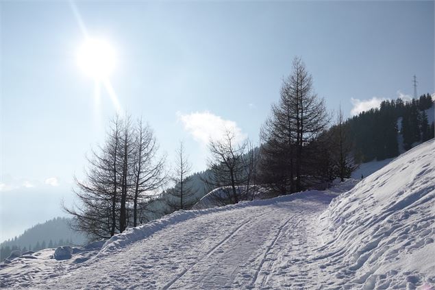 Sonalon - La Marlène - Verbier Tourisme