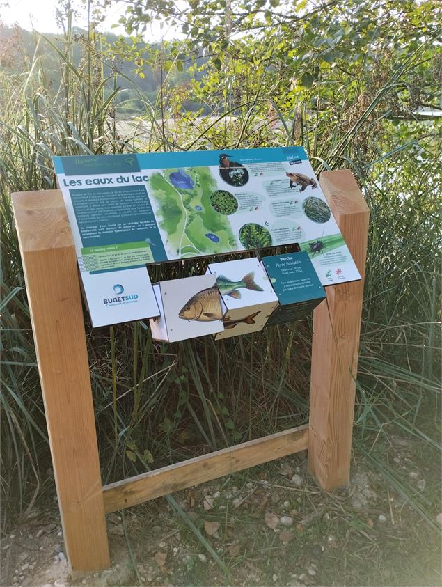 Sentier d'interprétation du lac de Virieu le Grand_Virieu-le-Grand - Laurent Madelon - CCBS