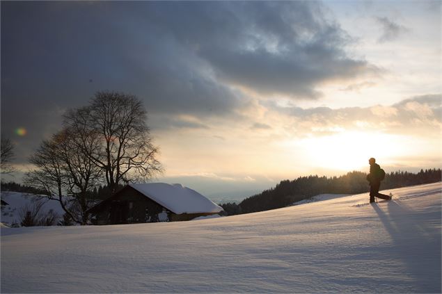 Randonnées raquettes sur le Plateau de Plaine Joux - Maison des Brasses