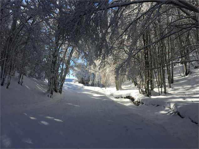 Montée en ski de fond en direction des Solives sur le Plateau de Retord - © Philippe Carrara