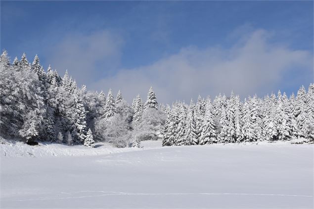 Combe de la Vézeronce - © Philippe Carrara
