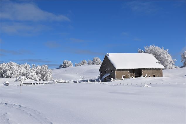 Les Solives - © Philippe Carrara