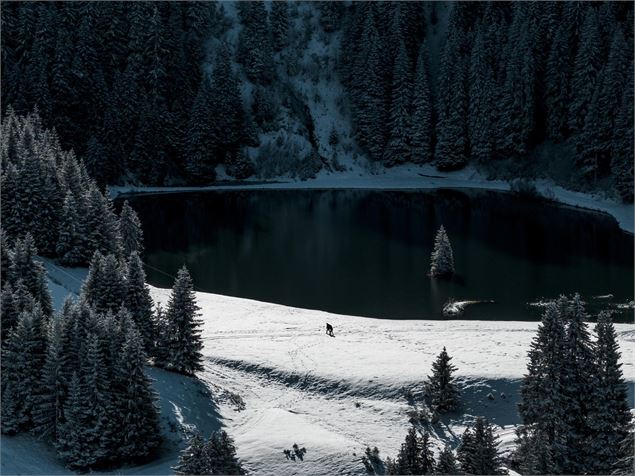 Le lac de la Mouille en hiver - L.Meyer -Châtel