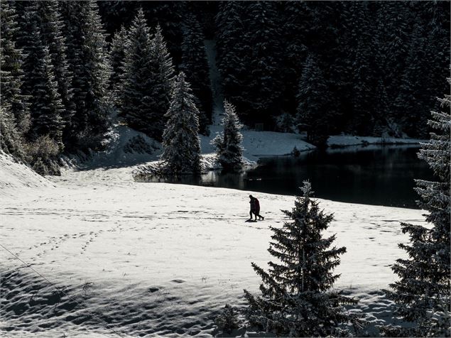 Le lac de la Mouille en hiver - L.Meyer -Châtel