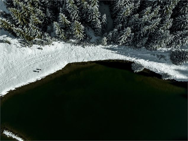 Le lac de la Mouille en hiver - L.Meyer -Châtel