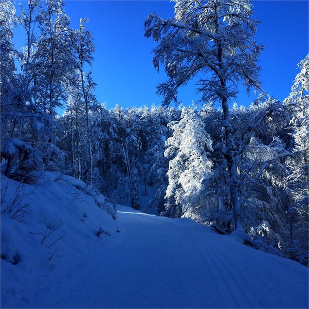 Ski Nordique à la Chapelle de Retord_Haut Valromey - Laurent Madelon - CC Bugey Sud