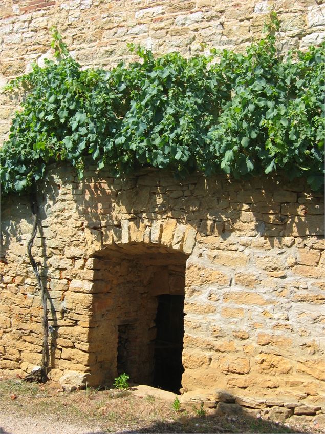 Circuit VTT n°12 (rouge) - Cavets, Villages revermontois - scalland