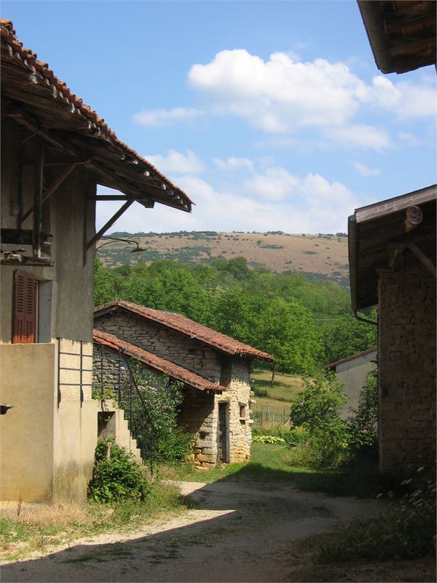 Circuit VTT n°12 (rouge) - Cavets, Villages revermontois - scalland