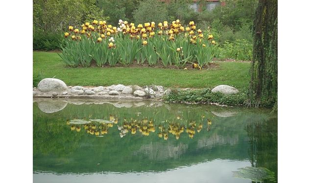 Parc Jardin des Iris