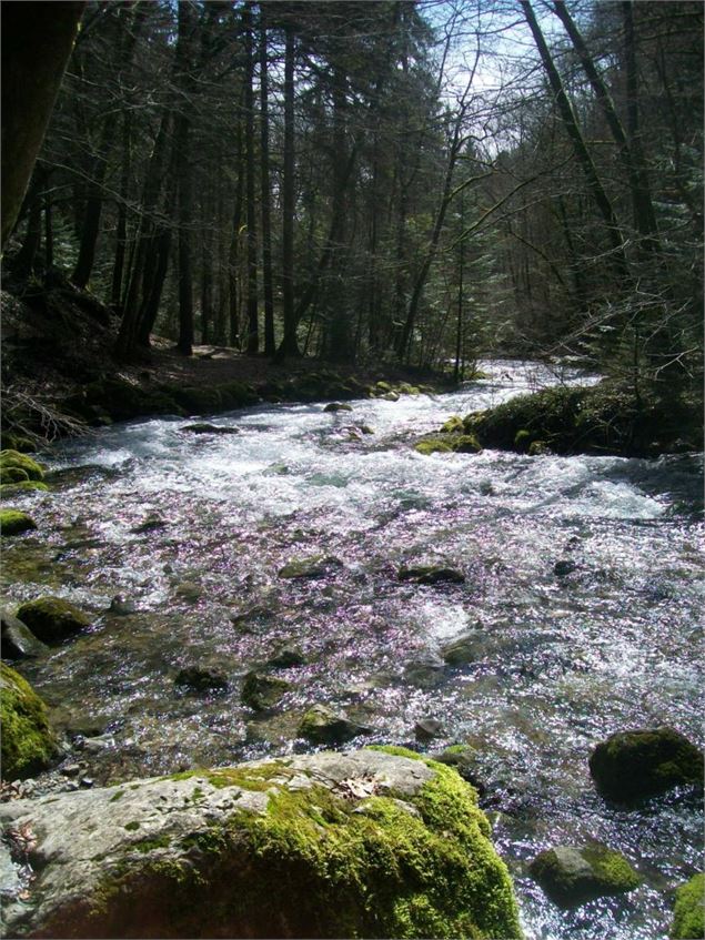 L'Allondon - ©AM. Barbe