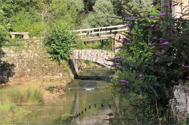 Les Clapotis du Solnan - S CALLAND