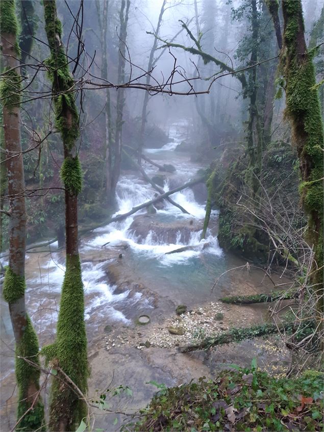 Reculée de Corveissiat - Agek