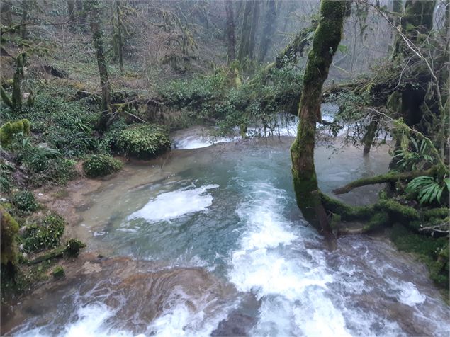 Reculée de Corveissiat - Agek