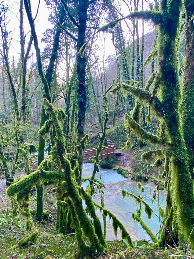 Reculée de Corveissiat - Agek