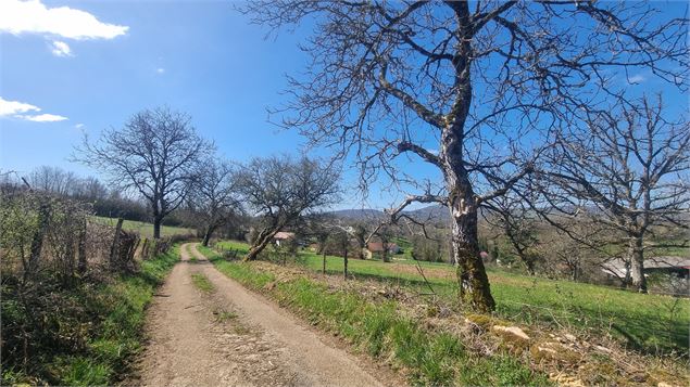 Randonnée  - Bohas et la Vallée du Suran_Bohas-Meyriat-Rignat - scalland