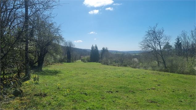 Randonnée  - Bohas et la Vallée du Suran_Bohas-Meyriat-Rignat - scalland