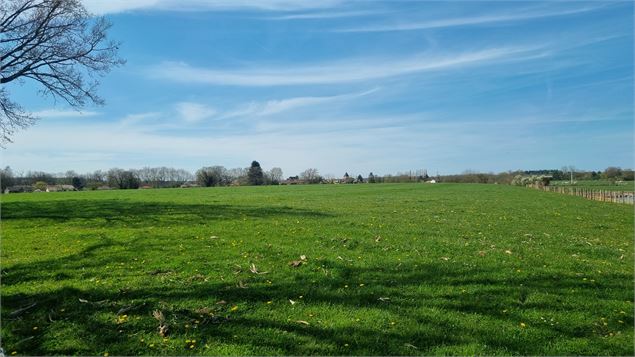 Randonnée - Tour de Certines et du château de Genoud_Certines - scalland