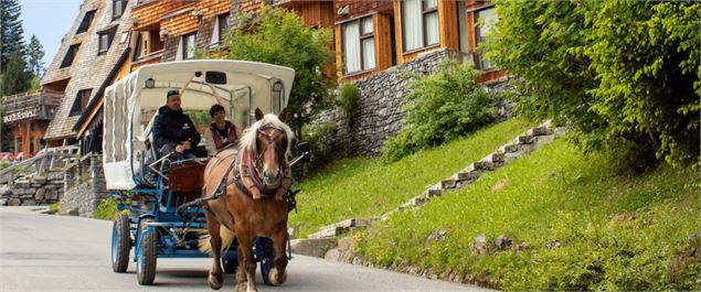 Transport en calèche électrique