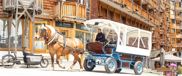 Transport en calèche électrique