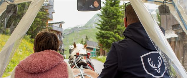 Transport en calèche électrique